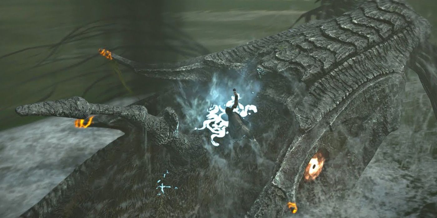 Shadow of the colossus hydra fight spark