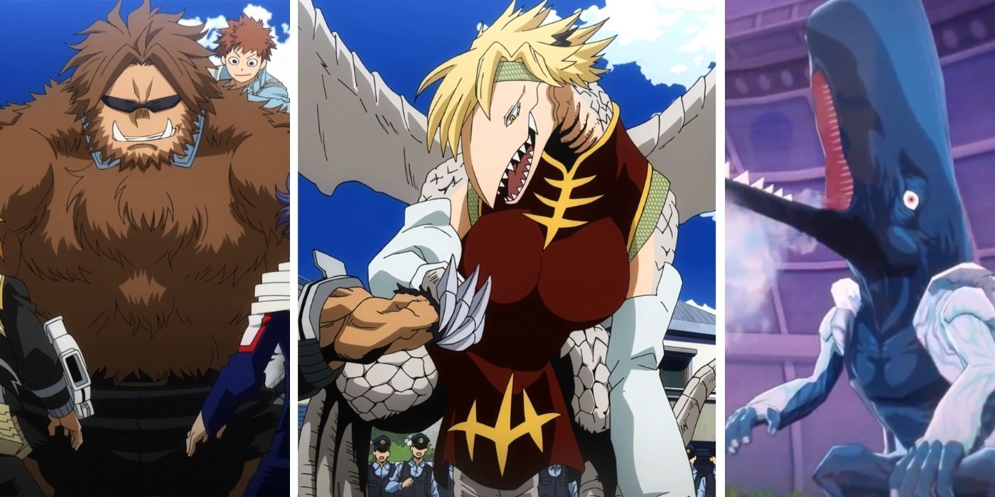 10 Anime Characters Who Can Turn Into Animals (Who Are Not From Fruits