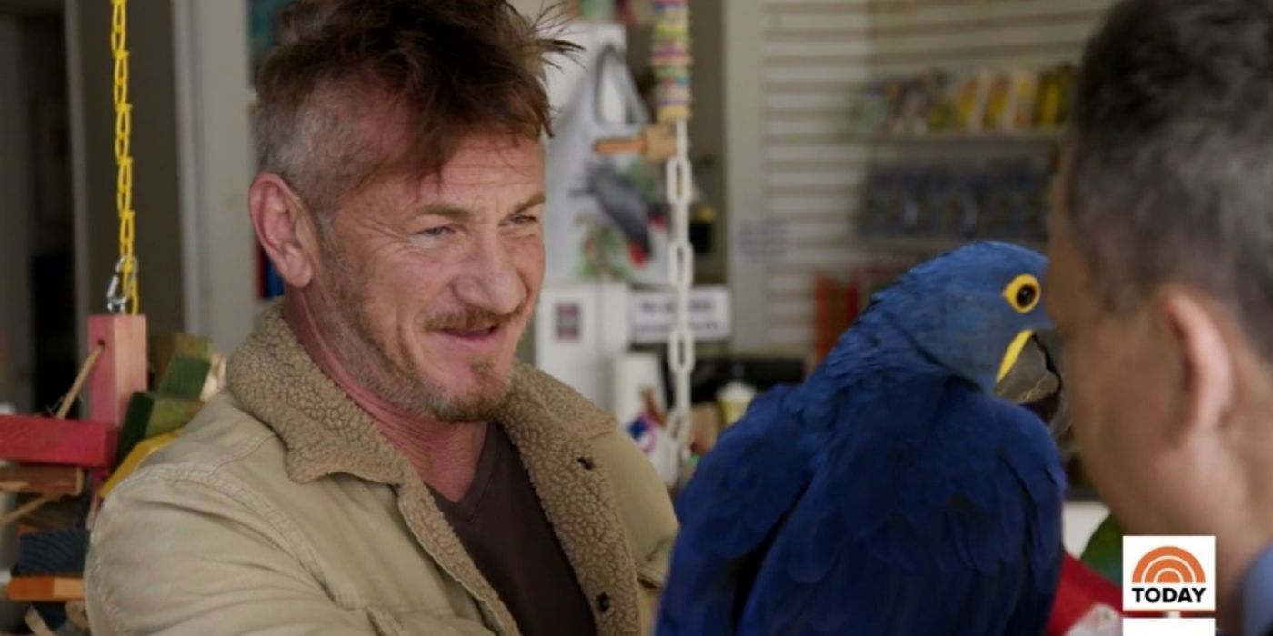 Curb Your Enthusiasm Season 10's Best Guest Stars