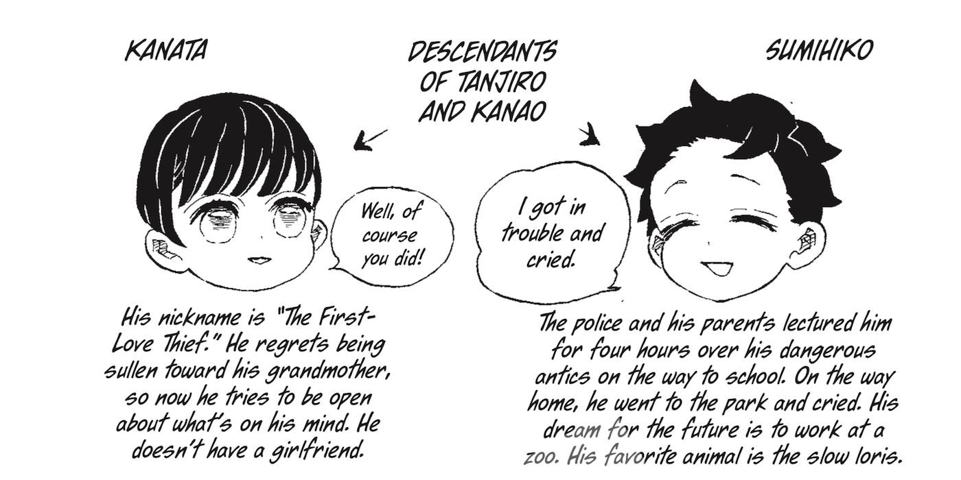 A chart from Volume 23 of the Demon Slayer manga that explains who is a descendant of who.