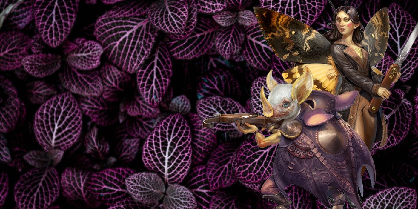 Pathfinder 2e: Every Rare Ancestry, Explained