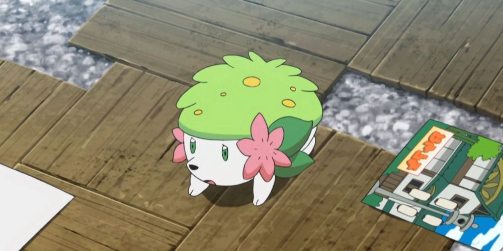 O pequeno Shaymin parado no anime Pokémon