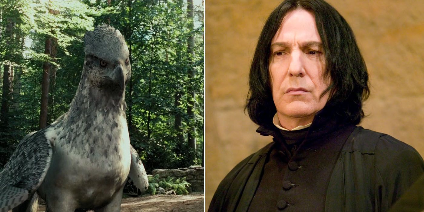 Snape frowns as Buckbeak stands in the forest