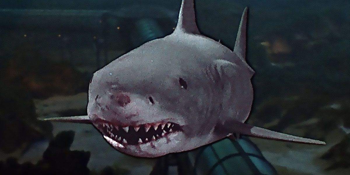 Shark swimming through the water in Jaws 3-D