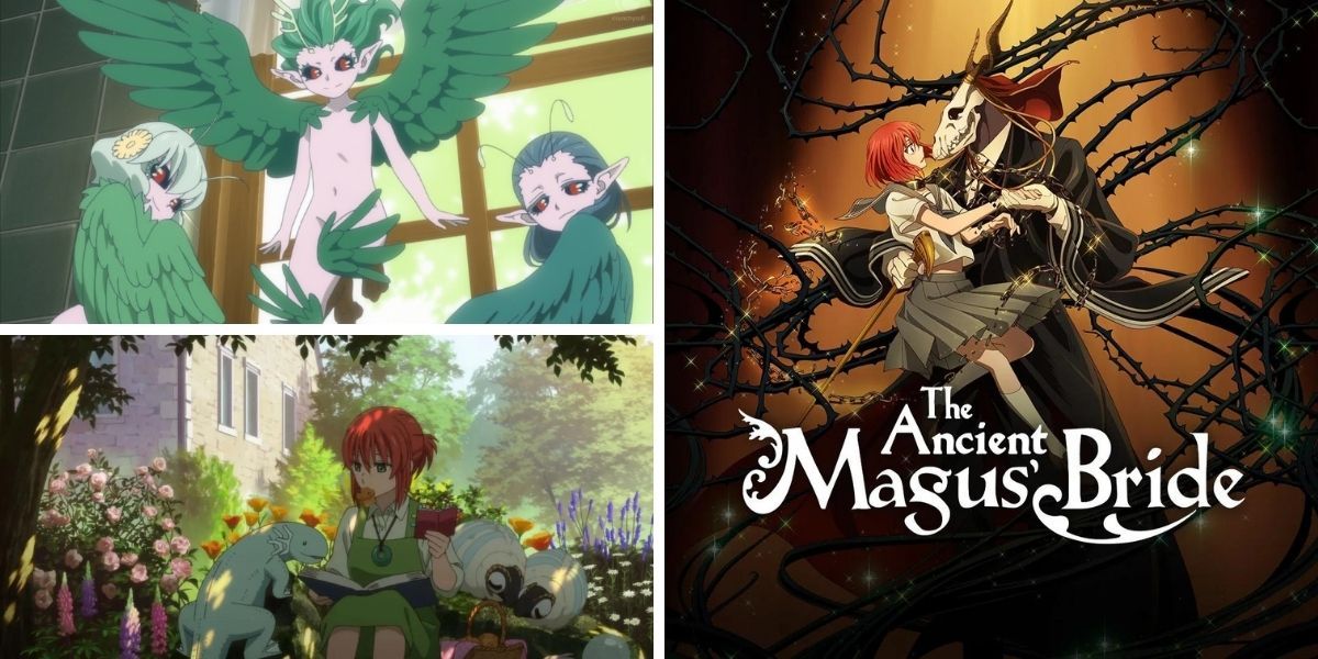 Top left image features the fairies and bottom right image features Chise; right image features the promo image for The Ancient Magus' Bride