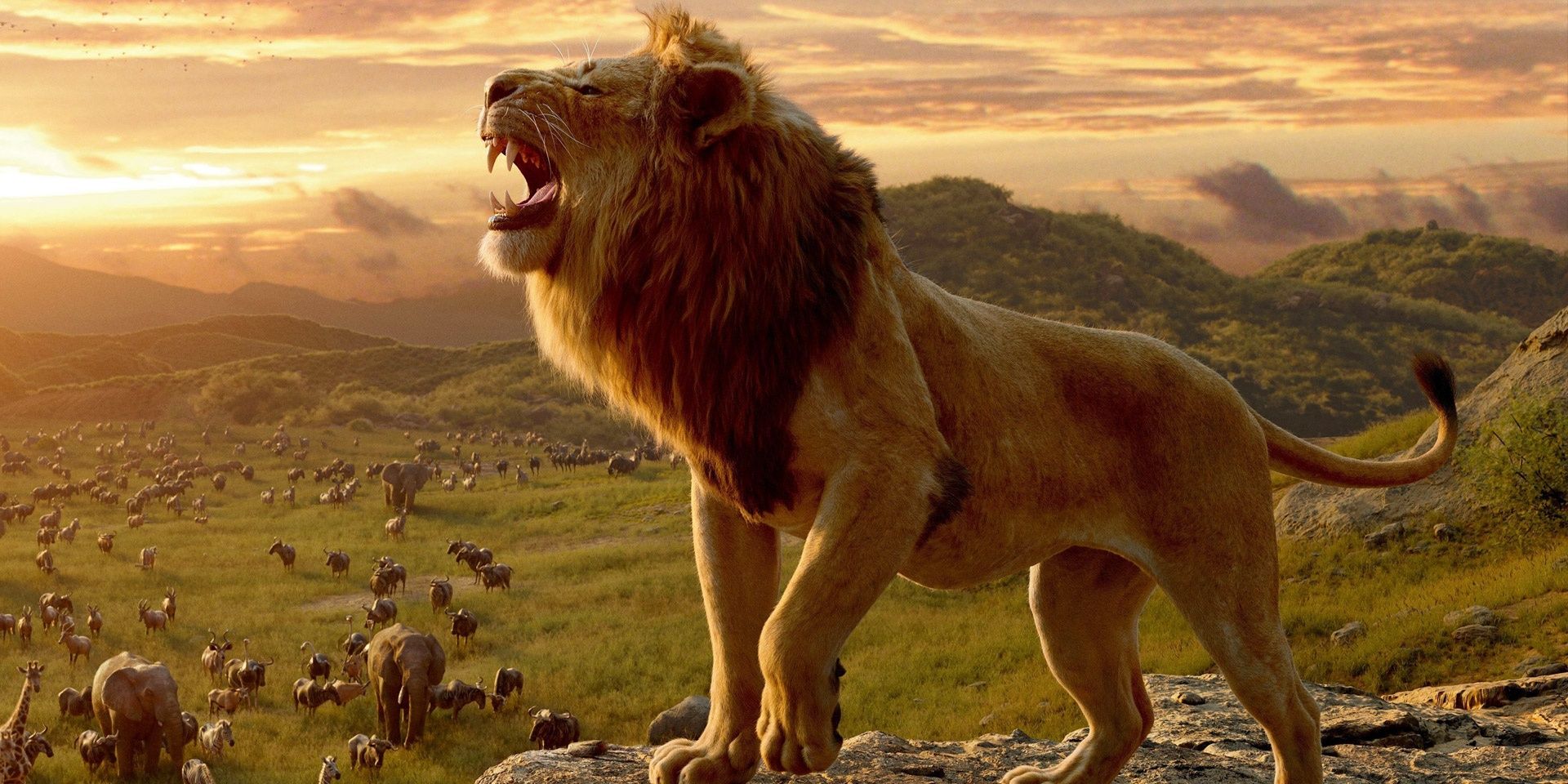 The Lion King image from the 2019 production