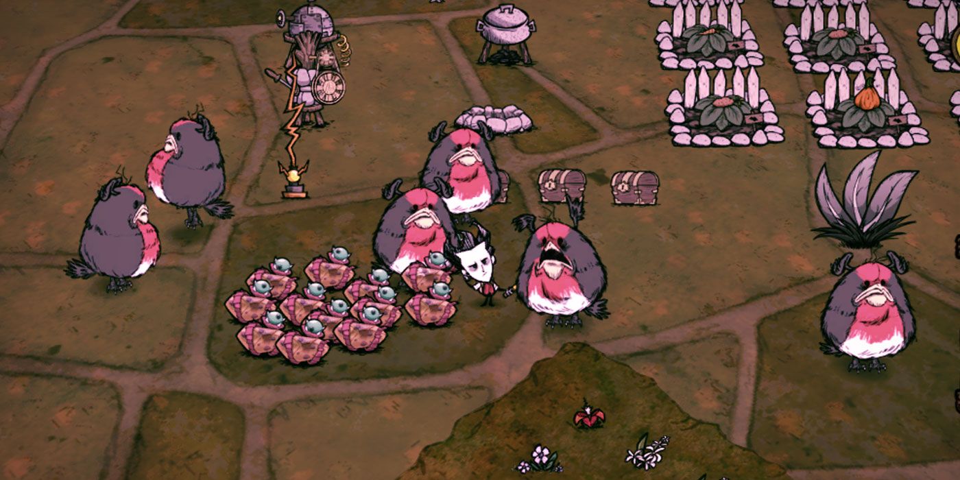 Don't Starve Hamlet How to Hatch Ro Bin