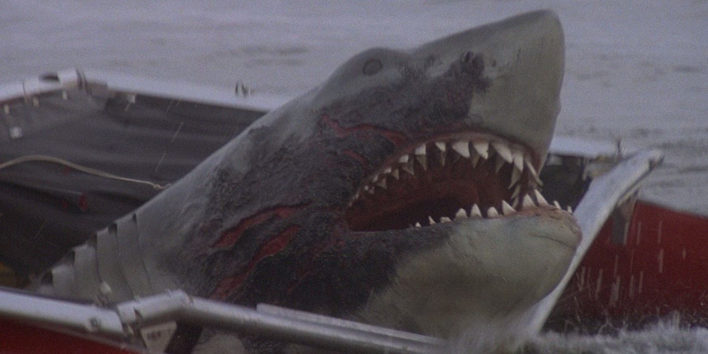 Burnt Shark Attack in Jaws 2