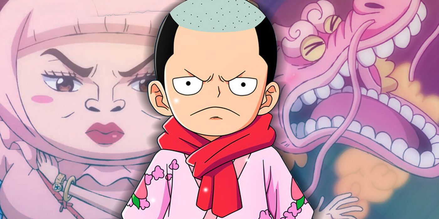 Who is Kozuki Momonosuke in One Piece?