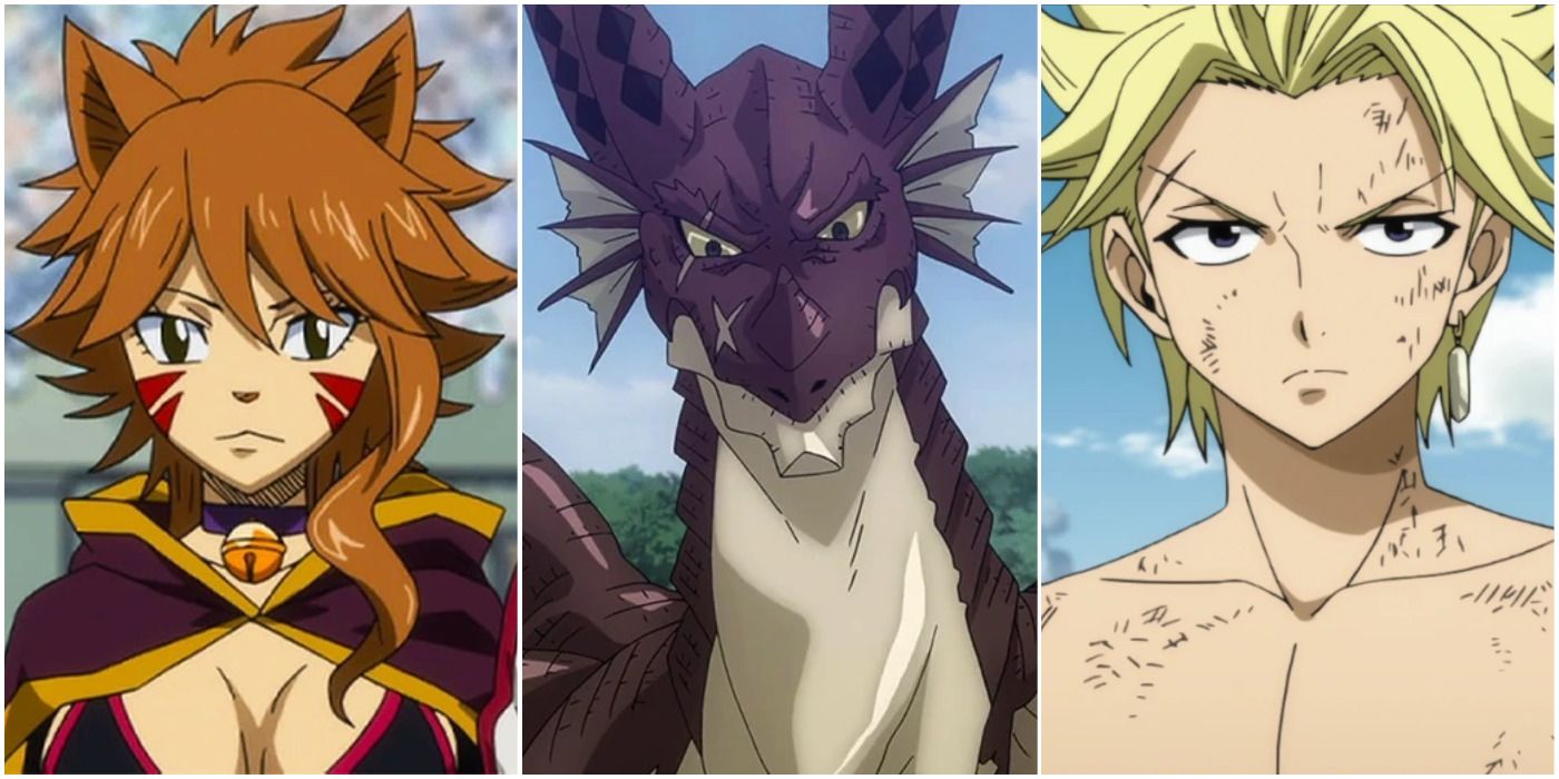 Characters appearing in Fairy Tail 2 Anime