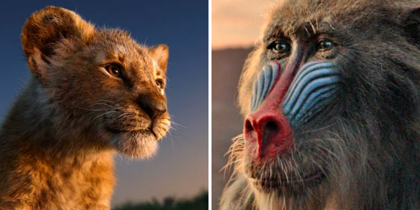Simba & Rafiki from The Lion King