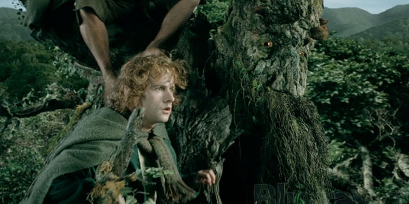 Fangorn | Wisdom from The Lord of the Rings