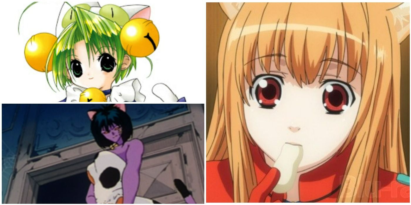 Hot Anime Cat Girls