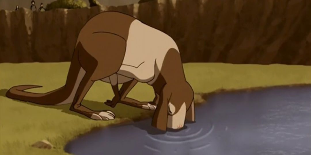 rabaroo drinking water avatar