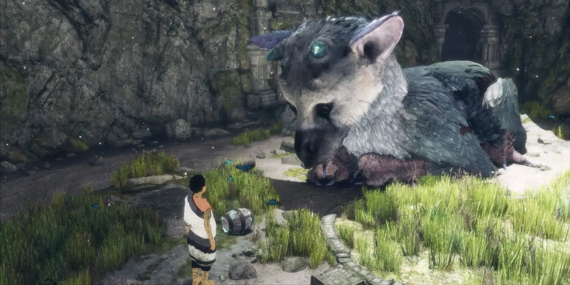 The Boy and Trico from The Last Guardian