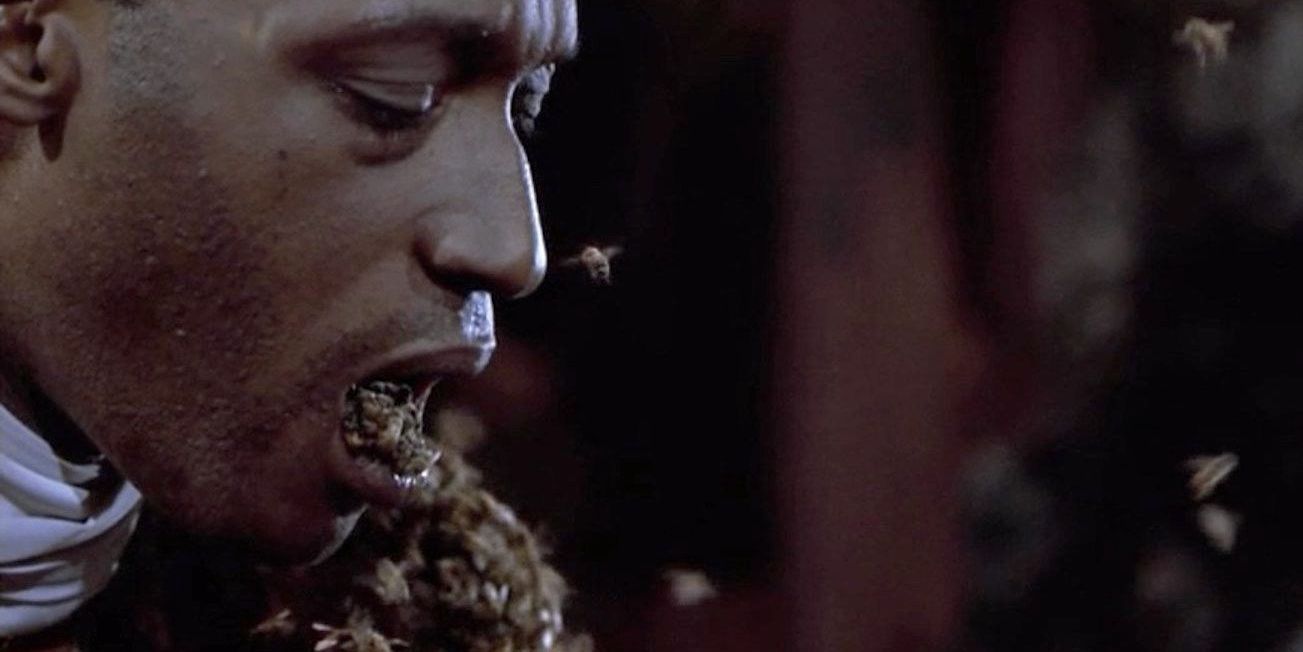 Movies Candyman 1992 Tony Todd Releases Bees