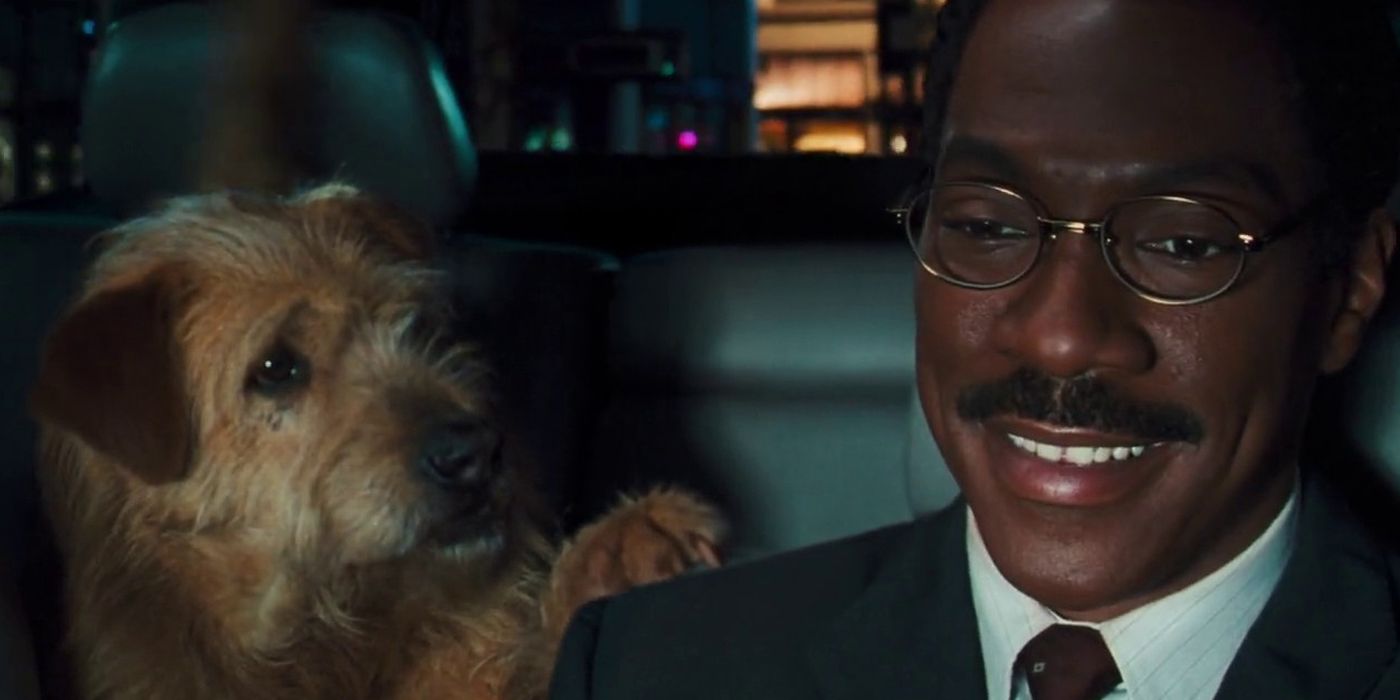 Eddie Murphy and Lucky in Dr Dolittle