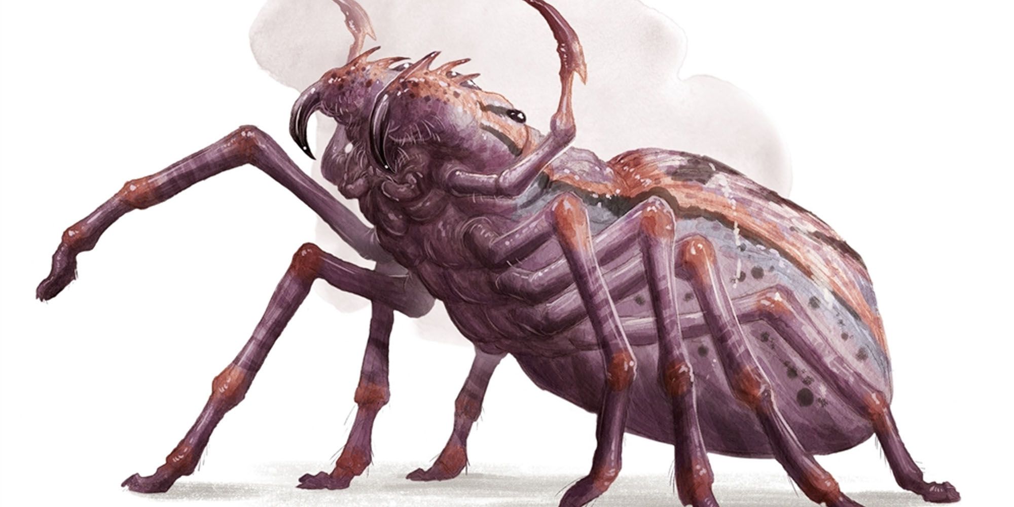 Giant Wolf Spider Dungeons &amp; Dragons
