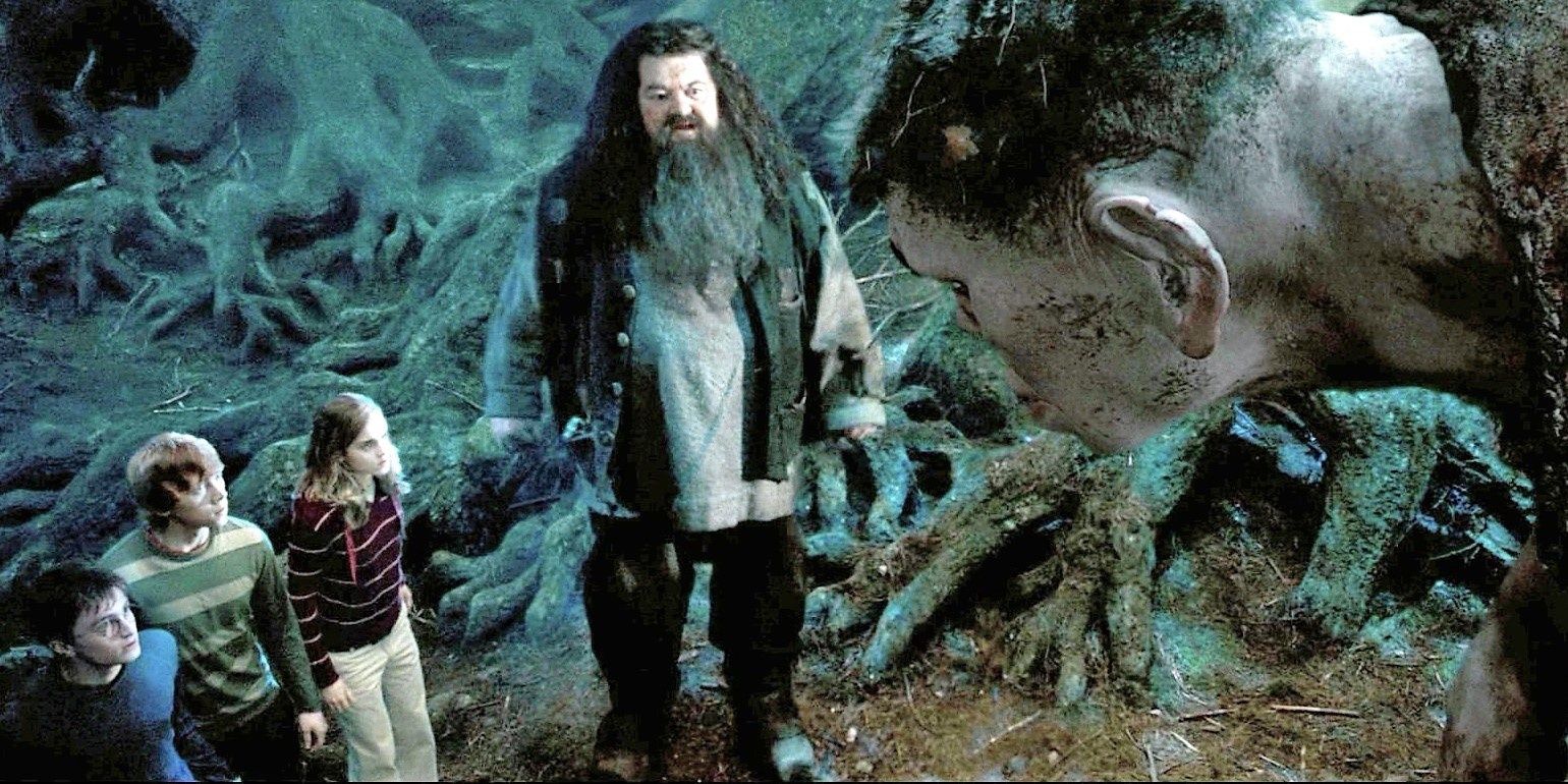 Harry Potter 10 Most Powerful Magical Creatures Shown In The Movies Ranked