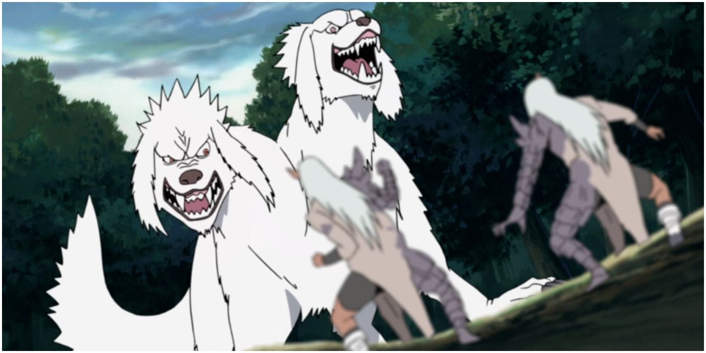 Akamaru's Canine Antics Command Attention in These Naruto Moments