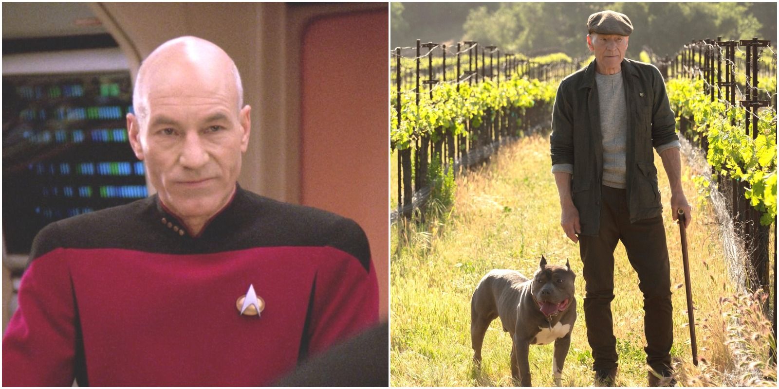 Young Captain Picard on board the Enterprise and old Picard at his vineyard