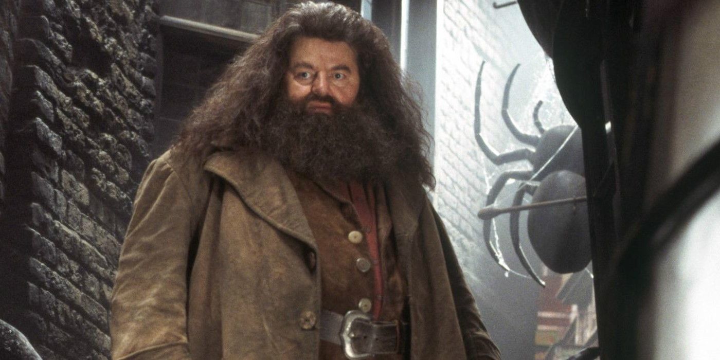Harry Potter Why Was Hagrid Expelled From Hogwarts