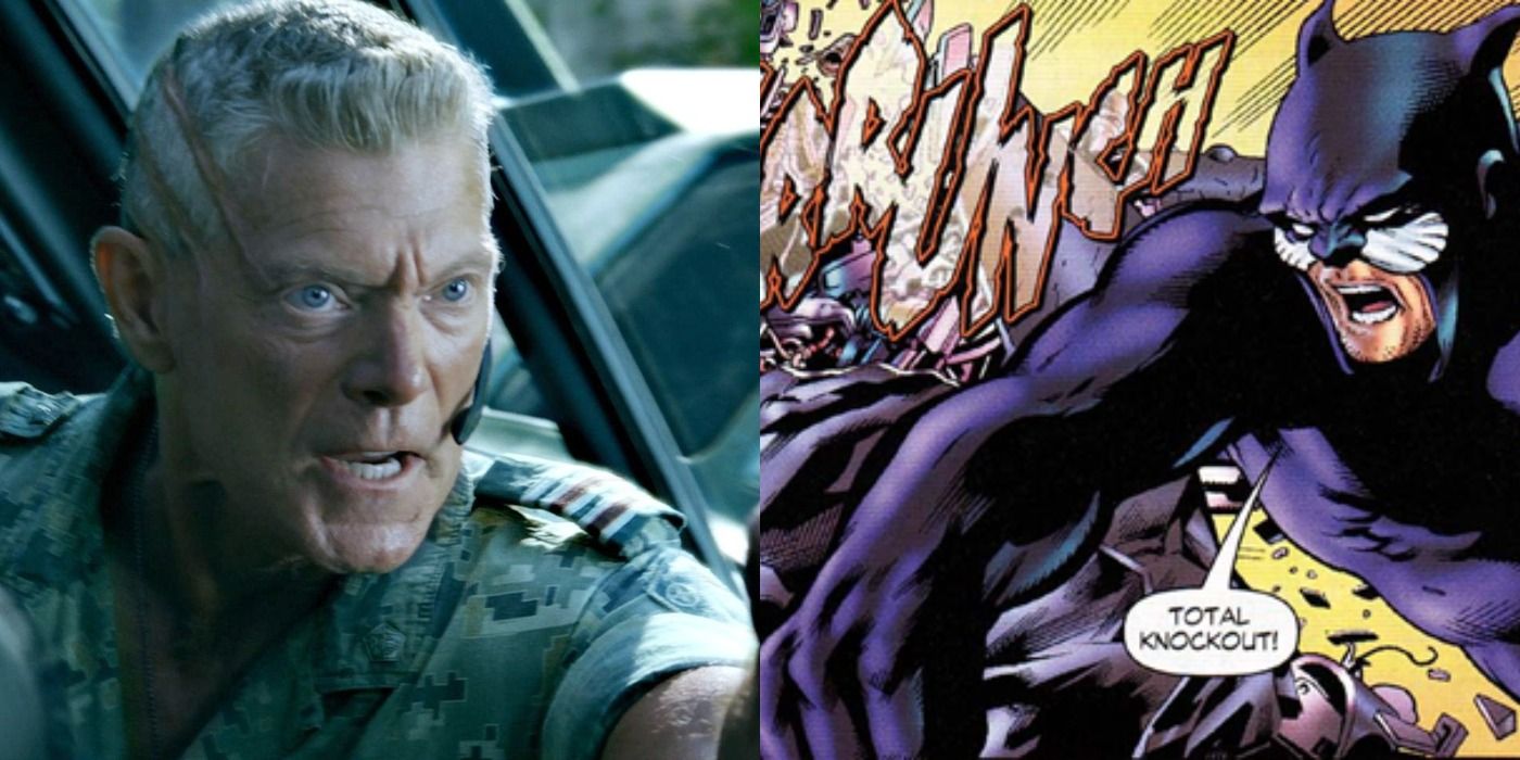 An image of Stephen Lang in a scene from Avatar next to an image of DC's Wildcat mid-fight. 
