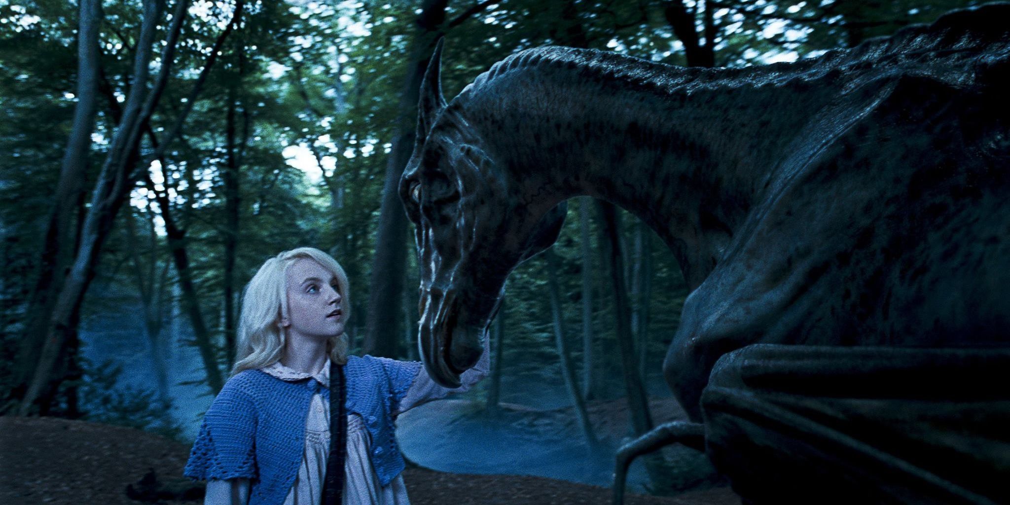 Harry Potter 10 Most Powerful Magical Creatures Shown In The Movies Ranked