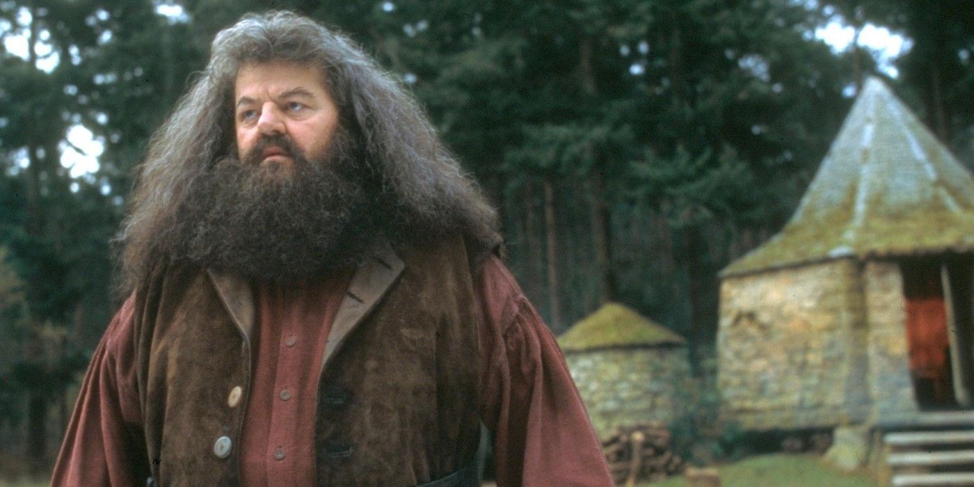 Hagrid in front of his hut in Harry Potter.