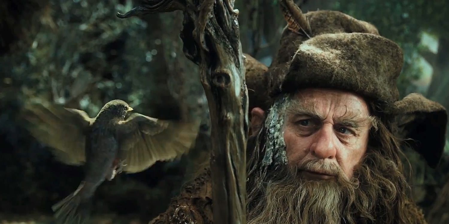 radagast and hummingbird - D&amp;D