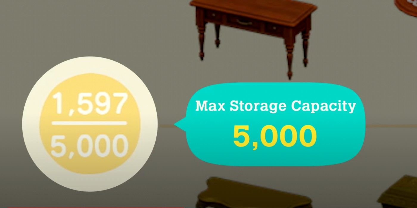 Animal Crossing Max Storage