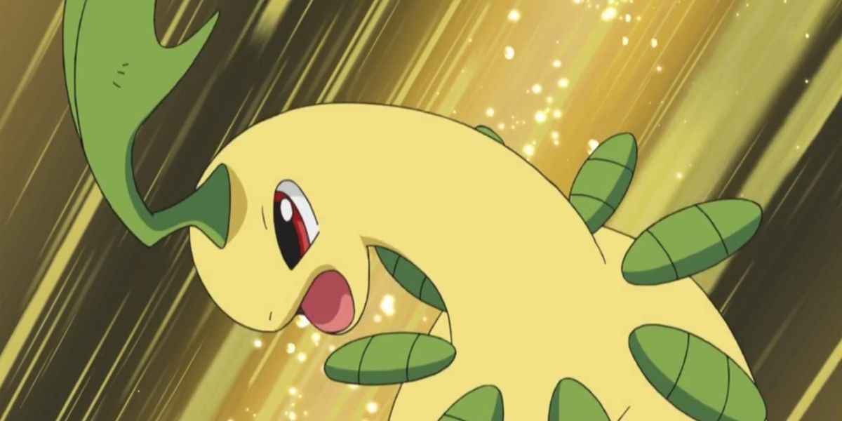 Ash's Bayleef ready for battle in the Pokemon anime