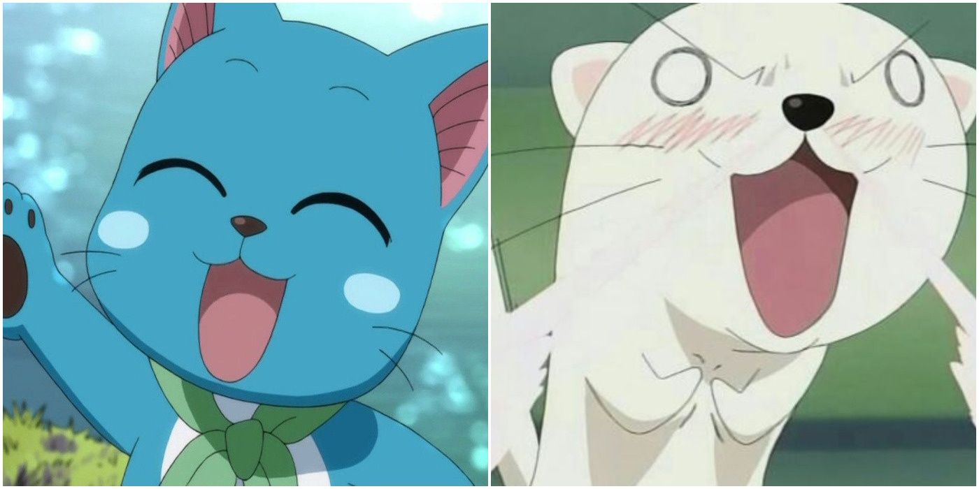 10 Talking Animals In Anime That Are More Annoying Than Cute