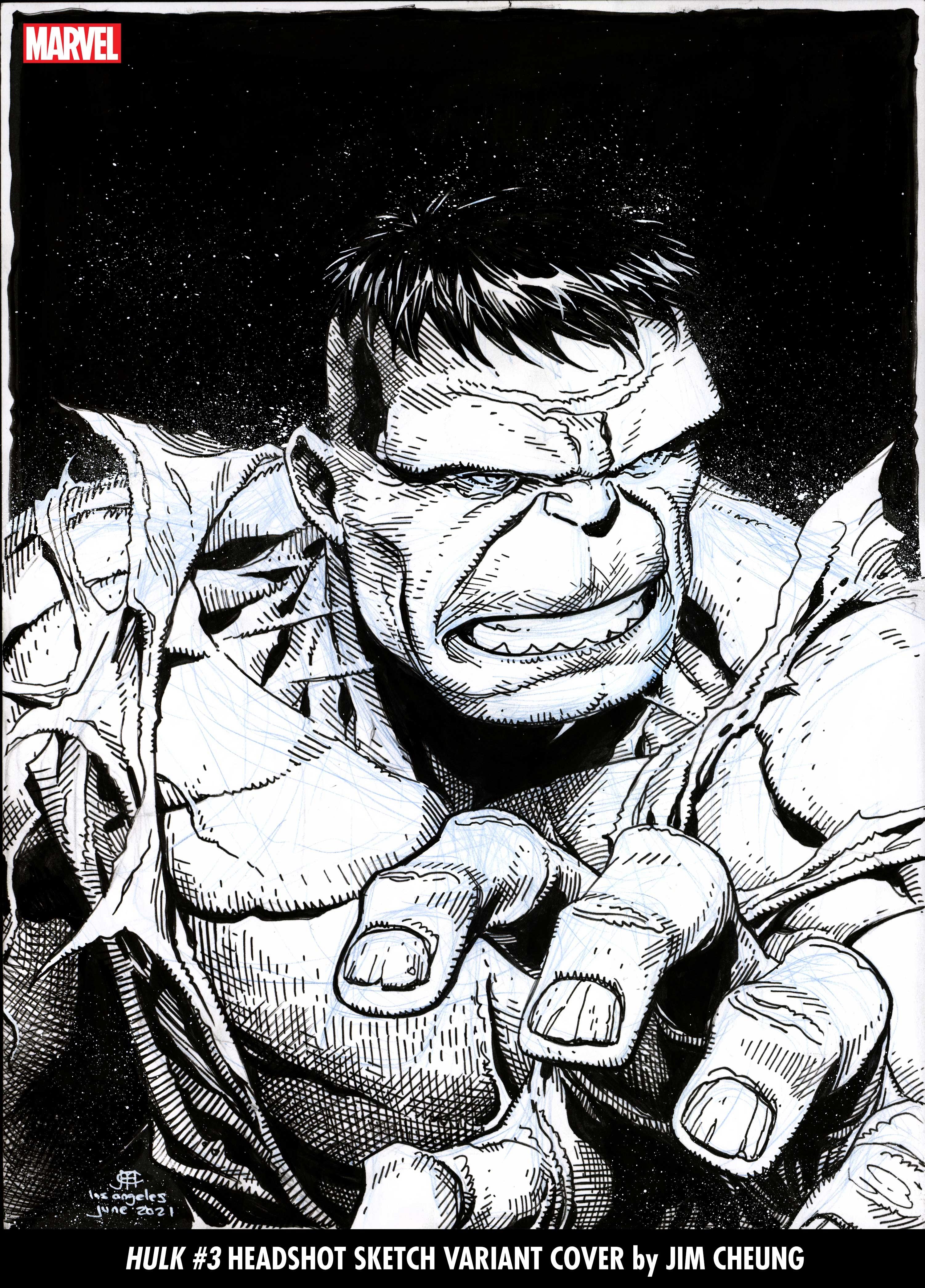 Black and white headshot cover of the Hulk by Jim Cheung