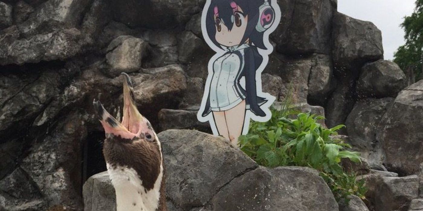 Tobu Zoo gets 20,000 more visitors during Golden Week thanks to Kemono  Friends collaboration – So Japan