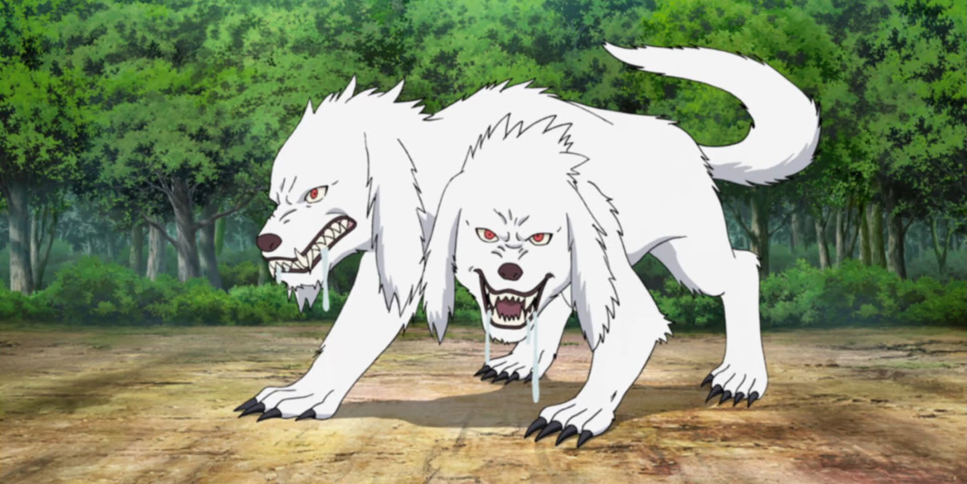 Kiba Inuzuka and Akamaru use Man-Beast Transformation Combo in Naruto.