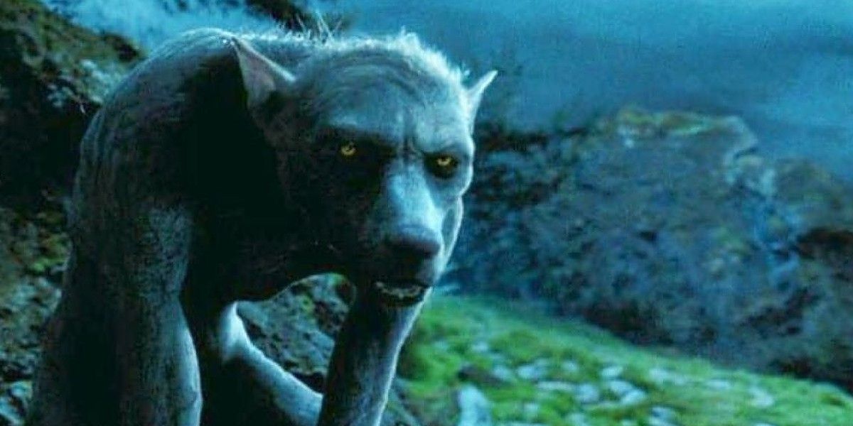 Remus Lupin in his werewolf form in Harry Potter
