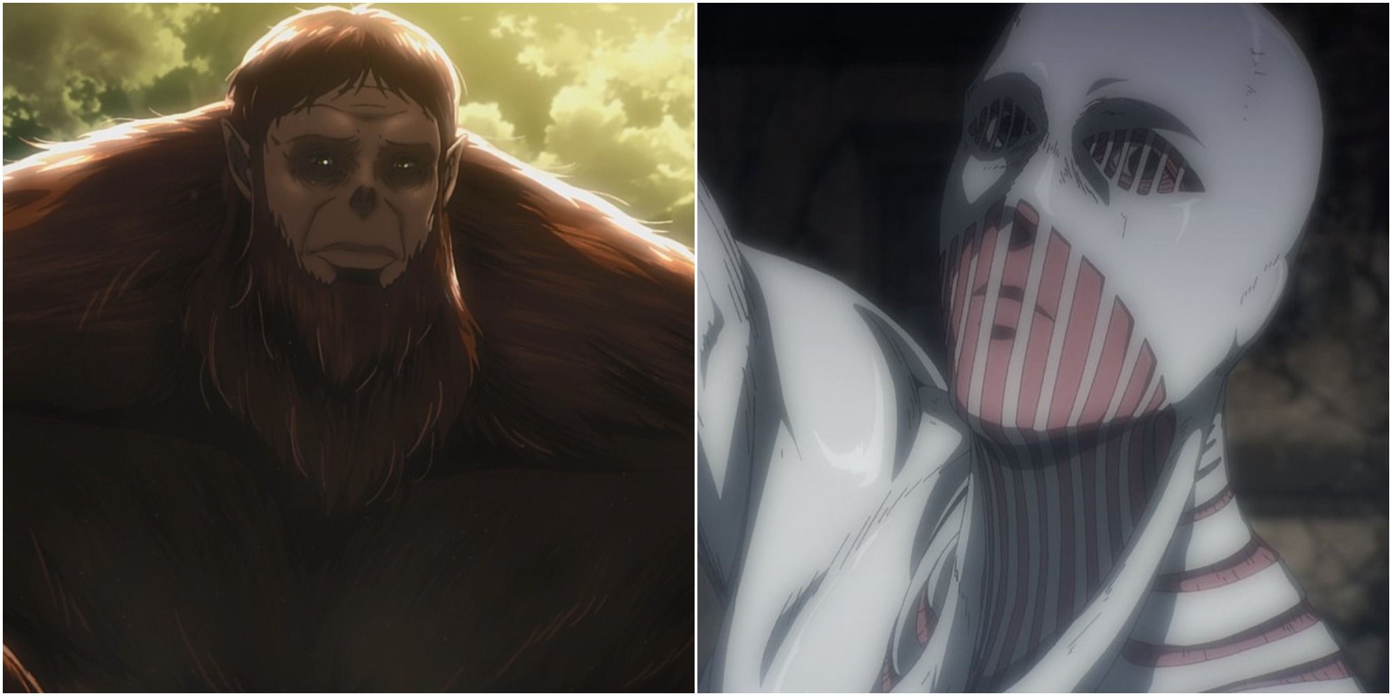 Attack On Titan: All 9 Titans, Ranked By Height