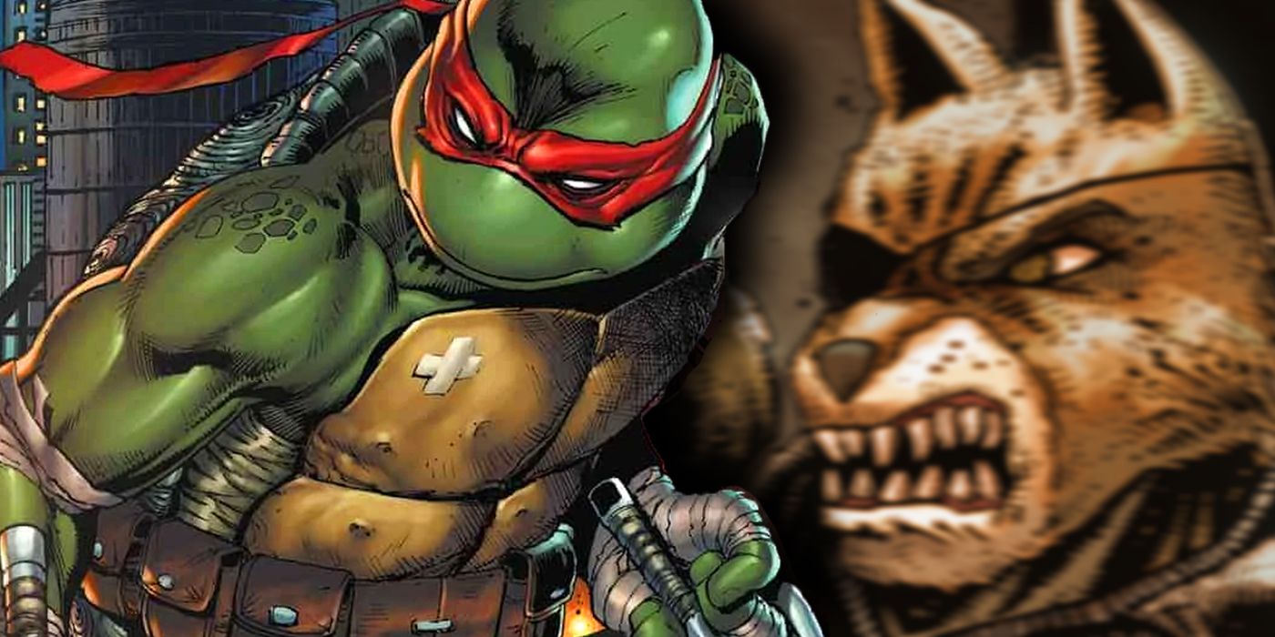 Teenage Mutant Ninja Turtles Raphael Old Hob