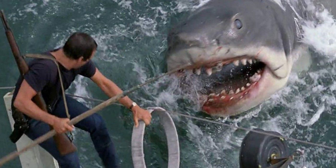The Shark Attacks Brody In Jaws