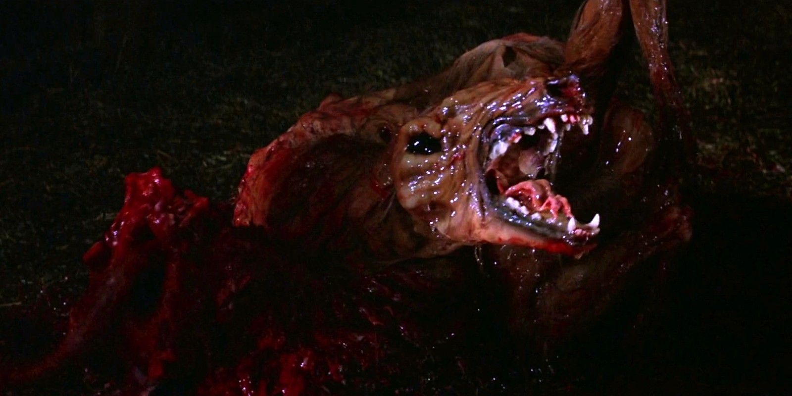 The Dog-Thing absorbs the other dogs in The Thing (1982)