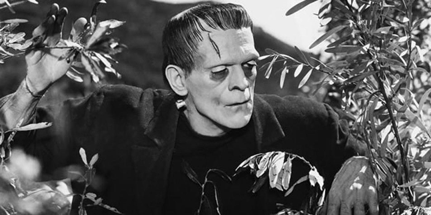 Universal Frankenstein