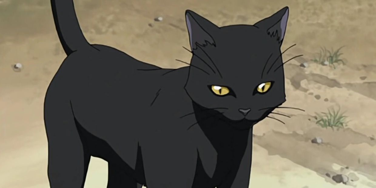 Iconic Anime Cats | Anime Music Video | AMV | Netflix Anime - YouTube
