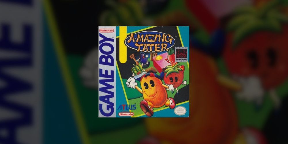 The 5 Rarest Game Boy Games