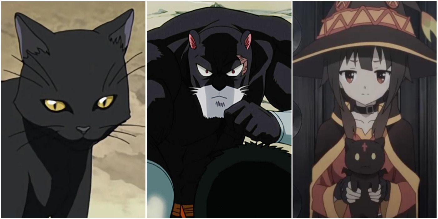 Thumb Image - Black Cat Anime Png, Transparent Png - vhv