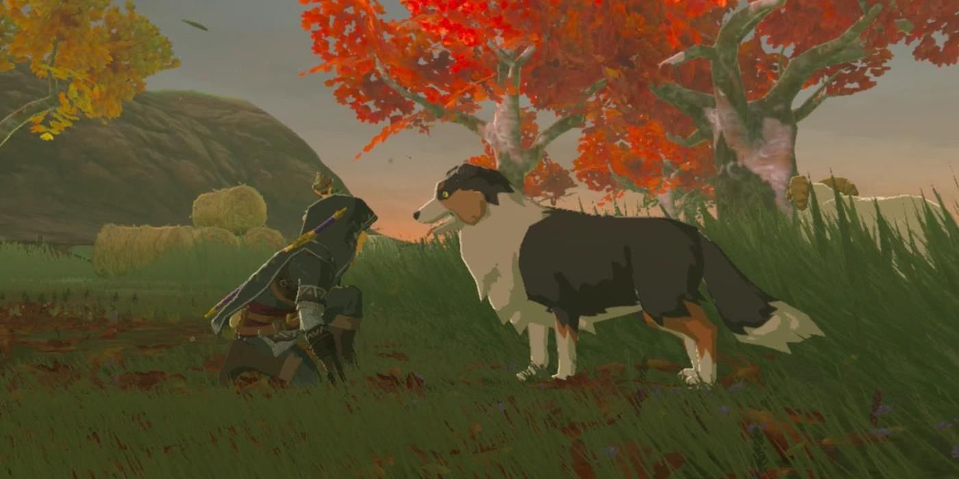 Link and a dog in BOTW