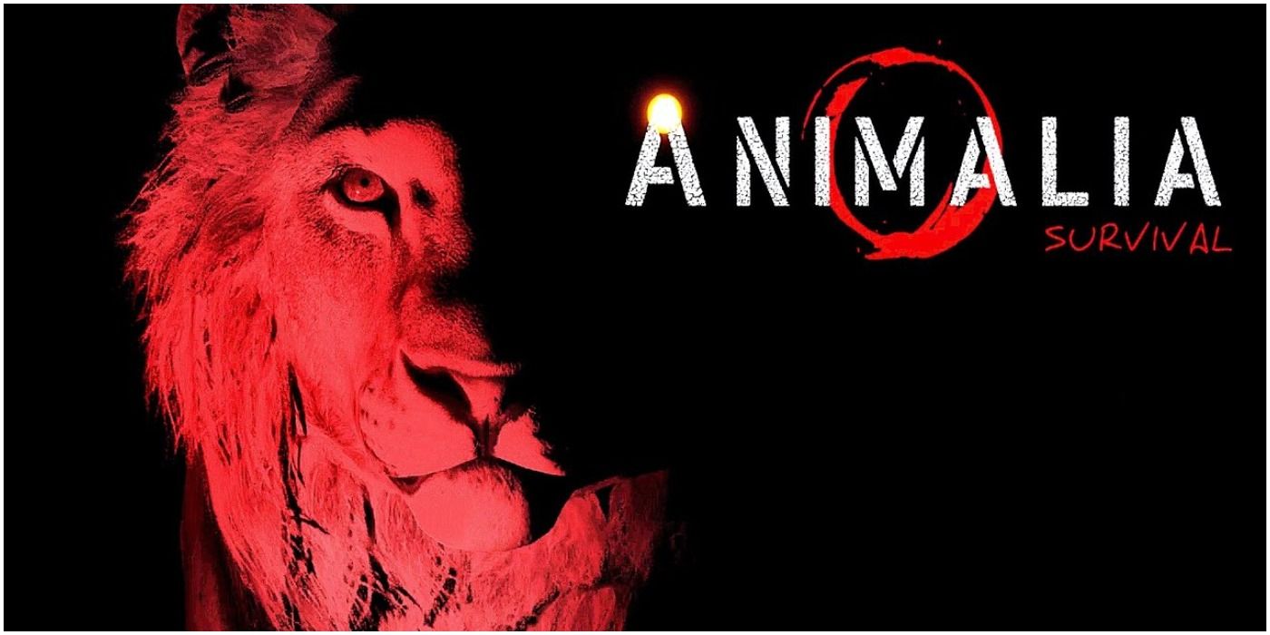 Animalia Survival Lion