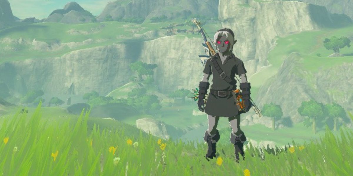 Link wearing the Dark armor set.