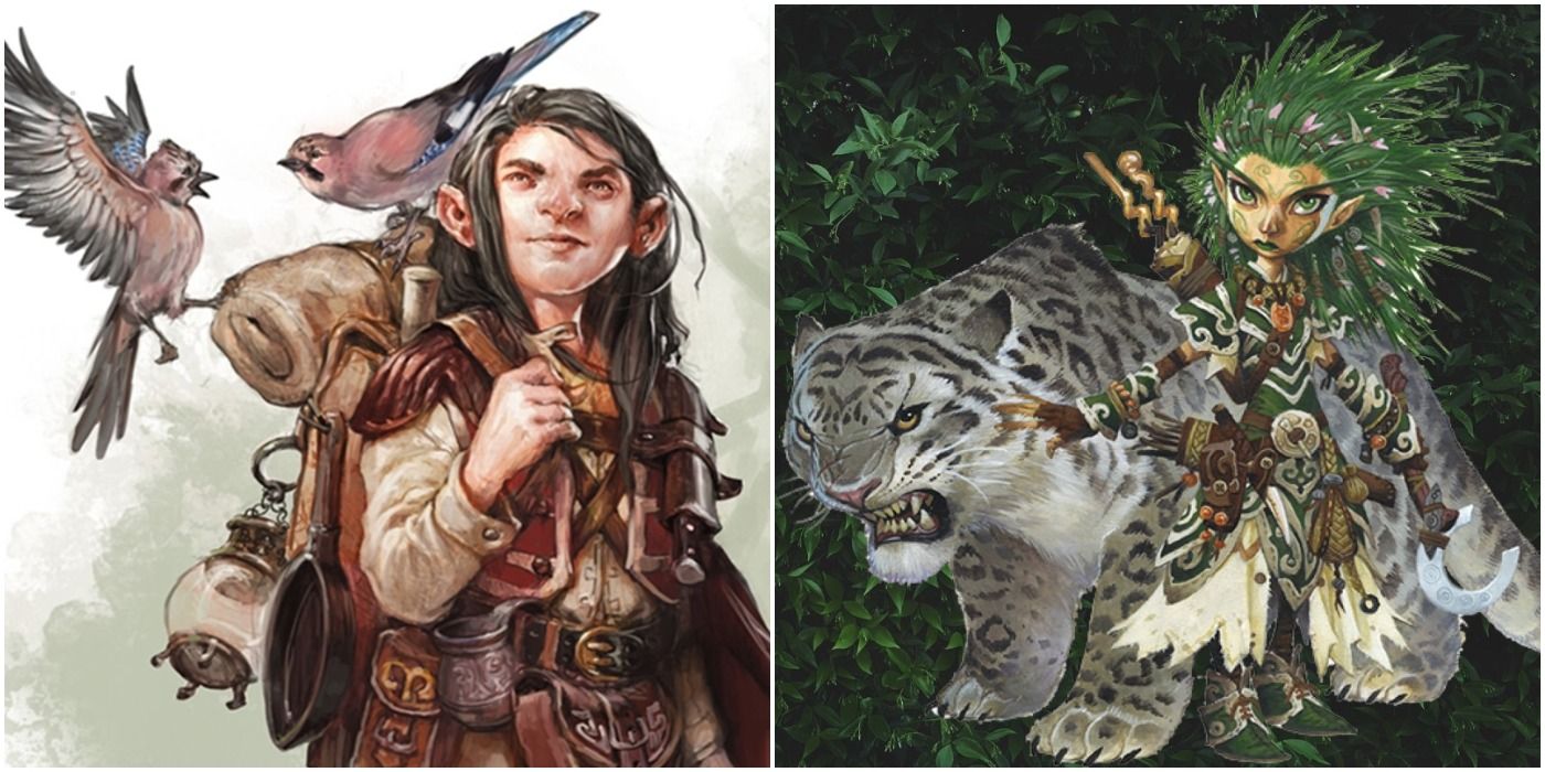 Druid 5e: DnD 5th Edition Class Guide - RPGBOT