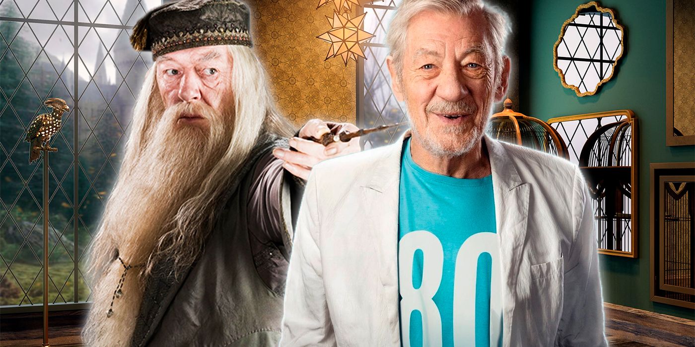 Harry Potter Ian Mckellen Said No But Would He Have Made a Better Dumbledore